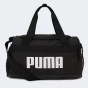 Сумка Puma CHALLENGER Extra Small Sports Bag, фото 1 - інтернет магазин MEGASPORT