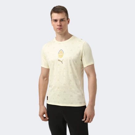 Футболка Puma FCSD Third Jersey Replica w/o Sponsor - 173840