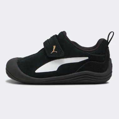 Kitten Premium V Inf