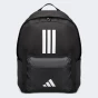 Рюкзак Adidas CLSC BARS 3S, фото 1 - інтернет магазин MEGASPORT