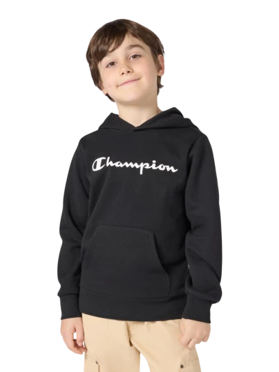 Кофта Champion hooded sweatshirt - 174802