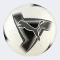 М'яч Puma PRESTIGE ball, фото 1 - інтернет магазин MEGASPORT