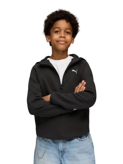 Кофта Puma EVOSTRIPE Full-Zip Hoodie DK B - 175180 Кофта Puma EVOSTRIPE Full-Zip Hoodie DK B - 175180