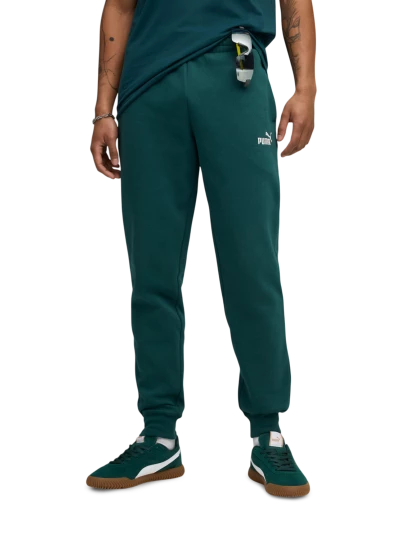 Спортивнi штани Puma ESS No. 1 Logo Sweatpants FL cl (s) - 175066