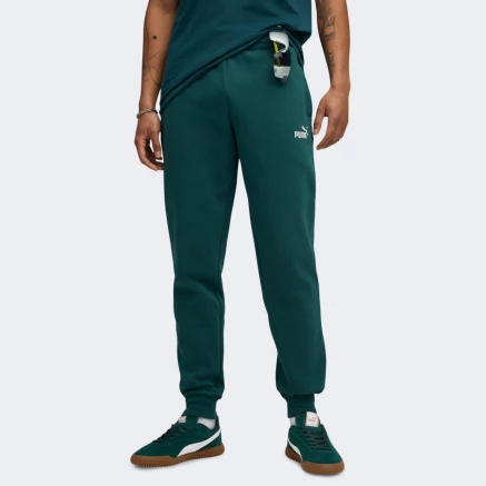 Спортивнi штани Puma ESS No. 1 Logo Sweatpants FL cl (s) - 175066
