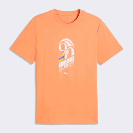 Футболка Puma FCSD FtblCulture Tee - 178067