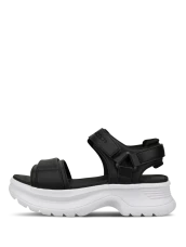model 258