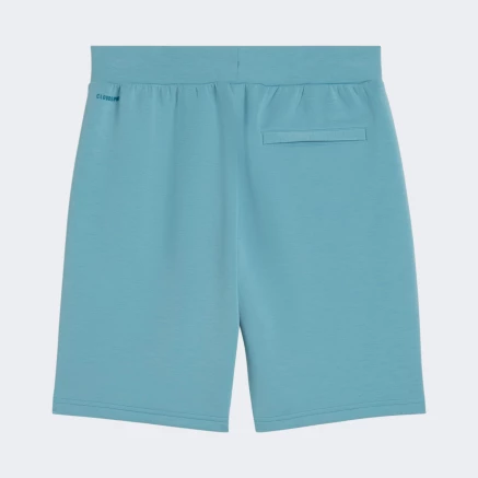 Шорти Puma M CLOUDSPUN 7" SHORT - 178612