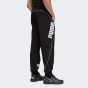 Спортивнi штани Puma SPORT Woven Track Pants, фото 2 - інтернет магазин MEGASPORT