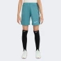 Шорти Nike K NK DF ACD25 SHORT K 7IN -PD, фото 1 - інтернет магазин MEGASPORT