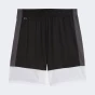 Шорти Puma IndividualLIGA Training Shorts, фото 5 - інтернет магазин MEGASPORT