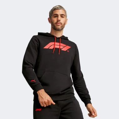 F1 ESS Logo Hoodie