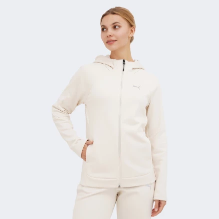 Кофта Puma EVOSTRIPE Winterized FZ Hoodie - 168818