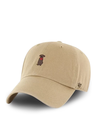 Кепка 47 Brand DOG BASE RUNNER ICON - 172205