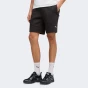 Шорти Puma EVOSTRIPE Shorts DK, фото 1 - інтернет магазин MEGASPORT