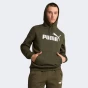 Кофта Puma ESS Big Logo Hoodie FL (s), фото 1 - інтернет магазин MEGASPORT
