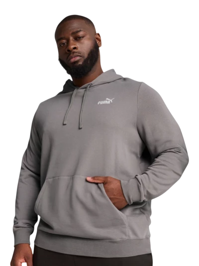 Кофта Puma ESS Small No. 1 Logo Hoodie TR (s) - 170638