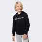 Кофта Champion hooded sweatshirt, фото 1 - інтернет магазин MEGASPORT