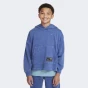 Кофта Nike K NK COB FLC PO HOODIE WASH, фото 1 - інтернет магазин MEGASPORT
