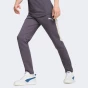 Спортивнi штани Puma EVOSTRIPE Pants DK, фото 1 - інтернет магазин MEGASPORT