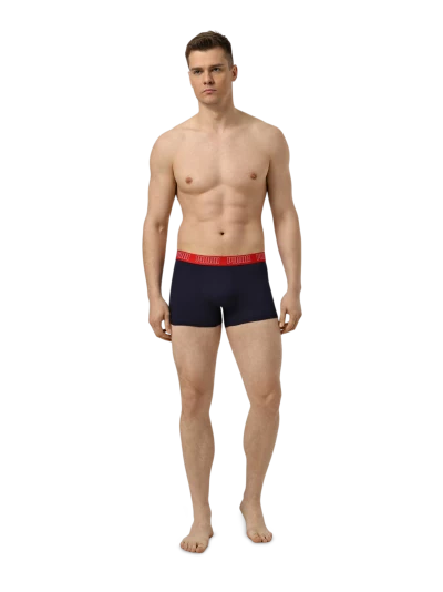Спідня білизна Puma MEN EVERYDAY TRUNKS 2P - 179760 Спідня білизна Puma MEN EVERYDAY TRUNKS 2P - 179760