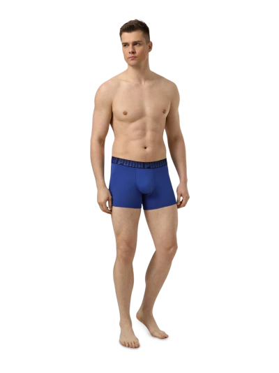 Спідня білизна Puma MEN GRADIENT STRIPED ELASTIC BOXERS 2P - 179768 Спідня білизна Puma MEN GRADIENT STRIPED ELASTIC BOXERS 2P - 179768