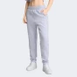 Спортивнi штани Puma EVOSTRIPE Sweatpants DK op, фото 1 - інтернет магазин MEGASPORT