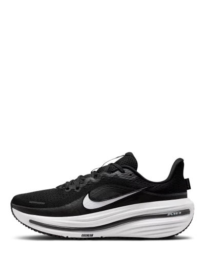 Кросівки Nike AIR WINFLO 12 - 180650