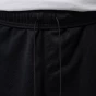 Шорти Jordan M J DF SPT MESH GFX SHORT, фото 5 - інтернет магазин MEGASPORT