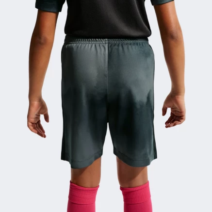 Шорти Nike K NK DF ACD+ SHORT GX AOP - 180687 Шорти Nike K NK DF ACD+ SHORT GX AOP - 180687