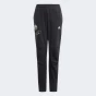 Спортивнi штани Adidas J BLUV PANT, фото 1 - інтернет магазин MEGASPORT