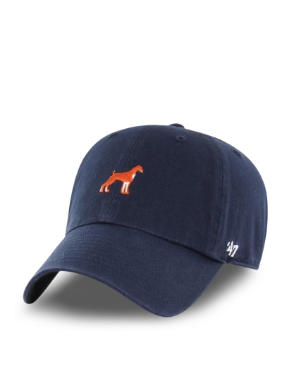 Кепка 47 Brand DOG BASE RUNNER ICON - 173359