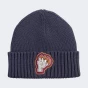 Шапка Puma COMIC Mid Crown Beanie Jr, фото 1 - інтернет магазин MEGASPORT