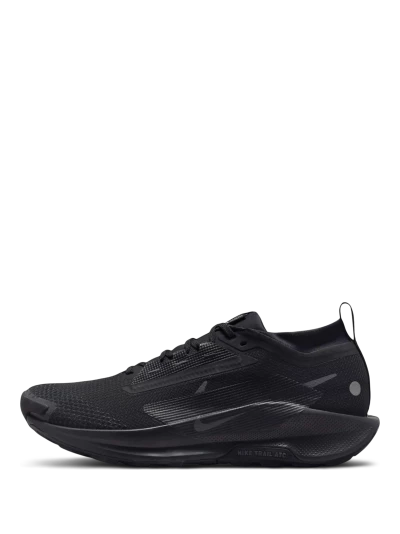 Кросівки Nike Pegasus Trail 5 GORE-TEX - 169280