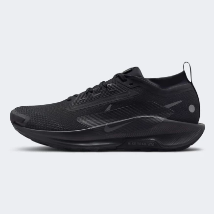 Кросівки Nike Pegasus Trail 5 GORE-TEX - 169280