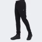 Спортивнi штани Champion straight hem pants, фото 1 - інтернет магазин MEGASPORT