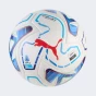 М'яч Puma Hardground ball Serie A (FIFA Basic), фото 1 - інтернет магазин MEGASPORT