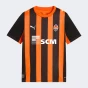 Футболка Puma FCSD Home Jersey Replica Jr w/o Sponsor, фото 4 - інтернет магазин MEGASPORT