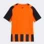 Футболка Puma FCSD Home Jersey Replica Jr w/o Sponsor, фото 5 - інтернет магазин MEGASPORT