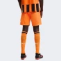 Шорти Puma FCSD Shorts Replica, фото 2 - інтернет магазин MEGASPORT