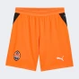 Шорти Puma FCSD Shorts Replica, фото 4 - інтернет магазин MEGASPORT