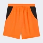 Шорти Puma FCSD Shorts Replica, фото 5 - інтернет магазин MEGASPORT