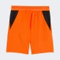 Шорти Puma FCSD Shorts Replica Jr, фото 5 - інтернет магазин MEGASPORT