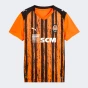 Футболка Puma FCSD Home Jersey Replica Jr w/o Sponsor, фото 5 - інтернет магазин MEGASPORT