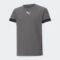 Футболка Puma teamRISE Jersey Jr, фото 1 - інтернет магазин MEGASPORT