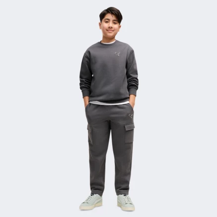 Спортивний костюм Puma ESS ELEVATED Relaxed Crew and Cargo Pants Suit FL B - 185522 Спортивний костюм Puma ESS ELEVATED Relaxed Crew and Cargo Pants Suit FL B - 185522
