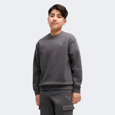 Спортивний костюм Puma ESS ELEVATED Relaxed Crew and Cargo Pants Suit FL B - 185522 Спортивний костюм Puma ESS ELEVATED Relaxed Crew and Cargo Pants Suit FL B - 185522