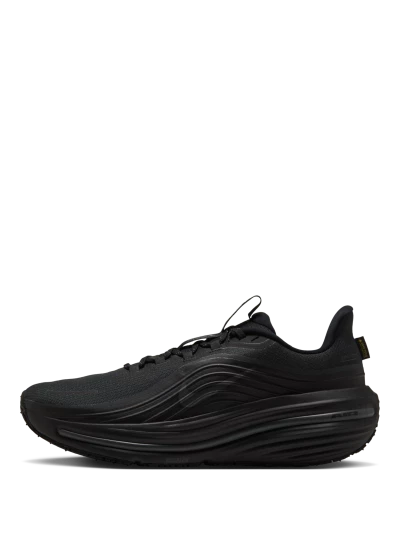 Кросівки Nike AIR WINFLO 12 GTX - 190059