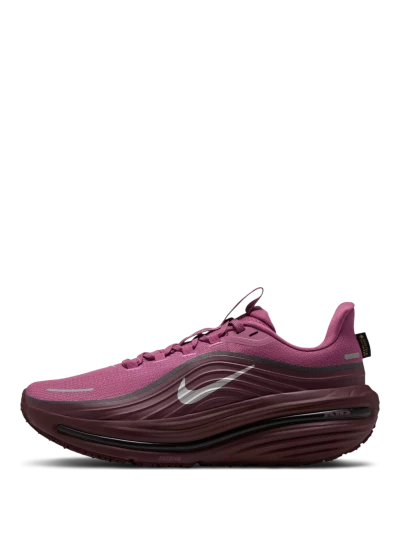 Кросівки Nike W AIR WINFLO 12 GTX - 190060