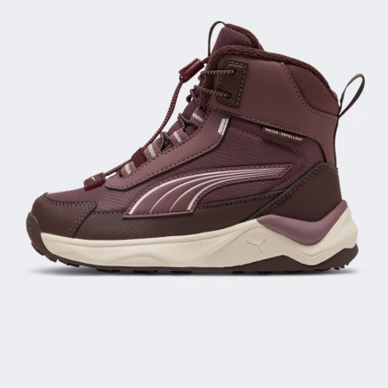 Черевики Puma Evolve 2.0 Boot PS - 190541